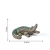 colorful 2 Chinese alligator