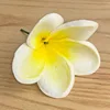 Giallo bianco