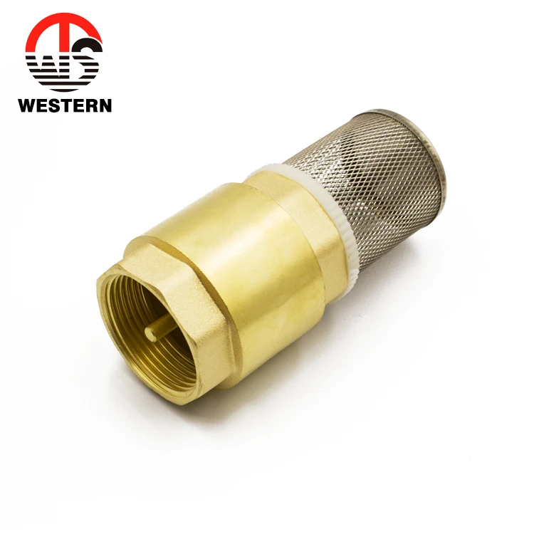 4 Inch China Check Valve Spring Vertical One Way Brass Foot Valve Foot Valve Price for Water Pump