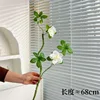 Un rododendro blanco
