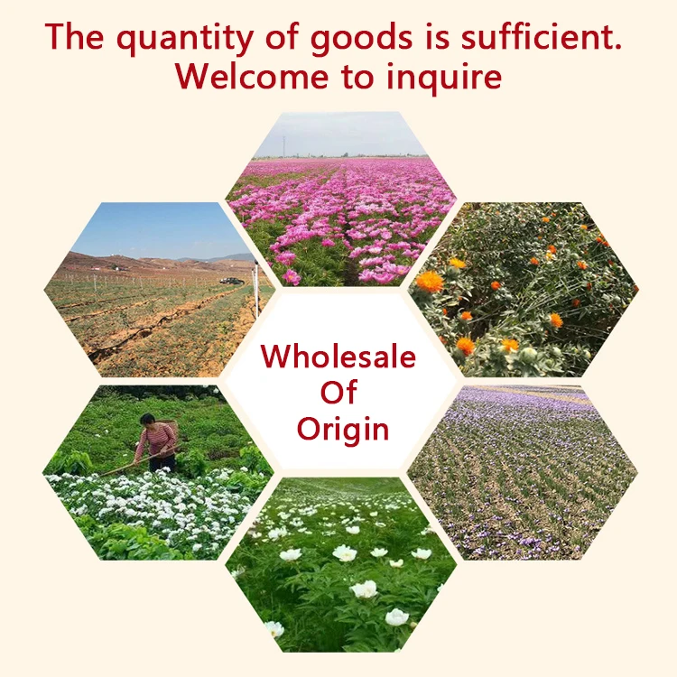 Zzh Hot Selling Cloves Seed Bulk Spices Wholesale High Quality Exported Ceylon Cloves Spice