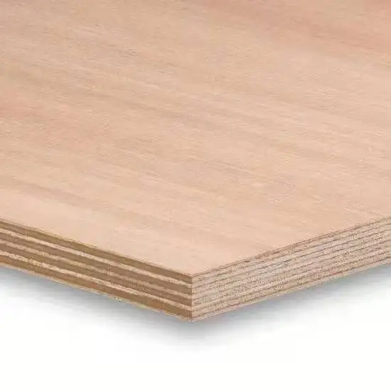 Birch Plywood Poplar Eucalyptus Hardwood Combi 3d Model Design Office