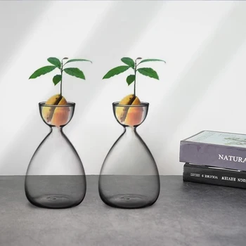 56H Modern Glass Flower Vase Avocado Hydroponic Bottle Glassware Creative Clear Container