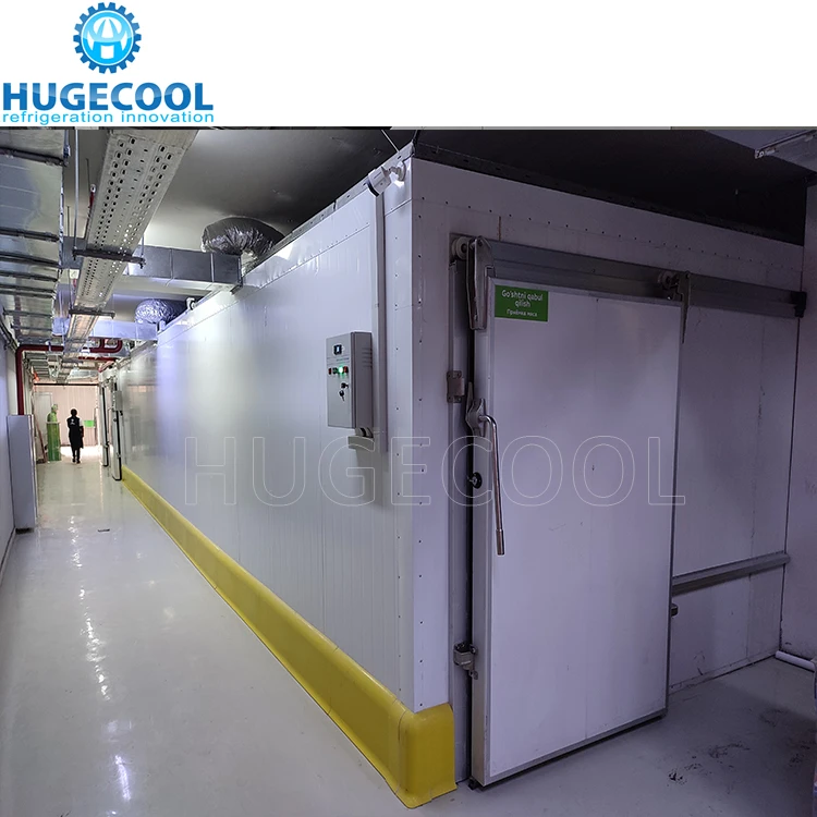 Hugecool Cold Storage Freezing Blast Freezer Walk in Cold Room for Potato Meat, Fish, Chicken, Seafood with Refrigeration Unit