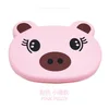 Pink Pig