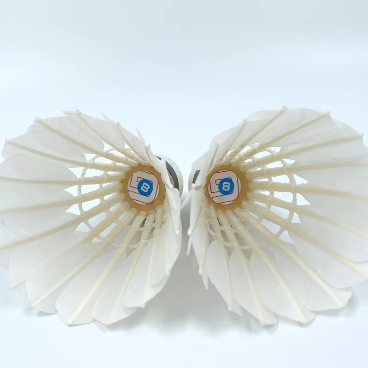 Volants de badminton – plumes et nylon et hybrides pour tous niveaux