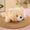 Little bear