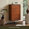 Mobile a 5 cassetti stile vintage (Base in acciaio inossidabile)