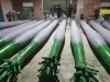 Cocotiers d'intérieur 4M