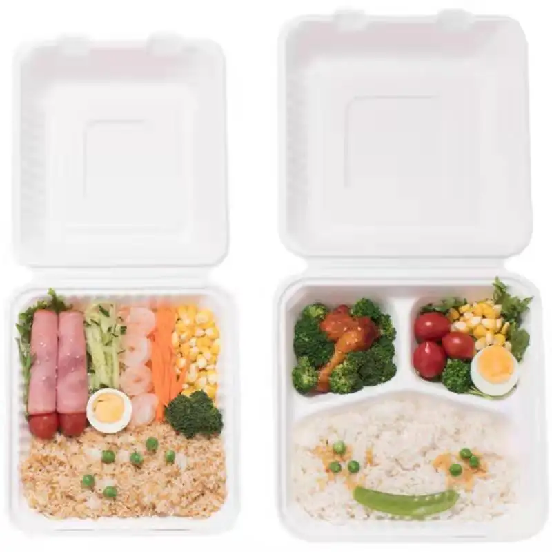 Custom Bagasse Box Biodegradable Food Takeout Containers Noodle Pp Lid –  Fastfoodpak