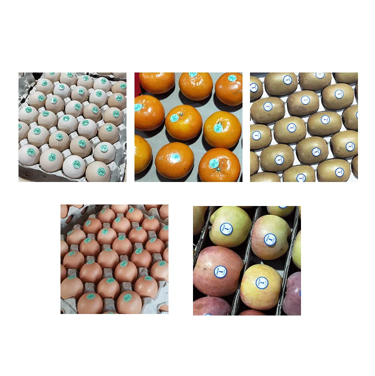 Orshang Hot Models Handheld Small Electric Labeling Machine Apple Orange Kiwi Stick Small Label Labeling Machine