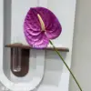 Petite paume, violet foncé