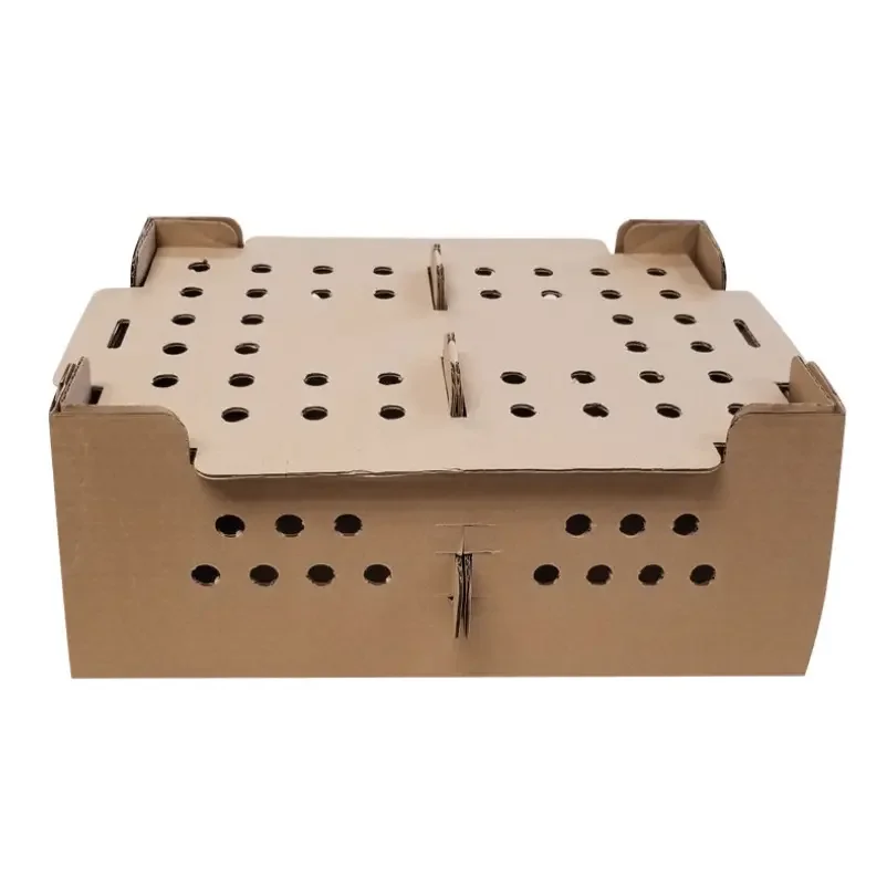 Factory Wholesale Quality Custom Design Corrugated Cardboard Live Baby Chicken Transport Boxes Carton Chick Box