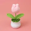 Light pink tulip potted plant