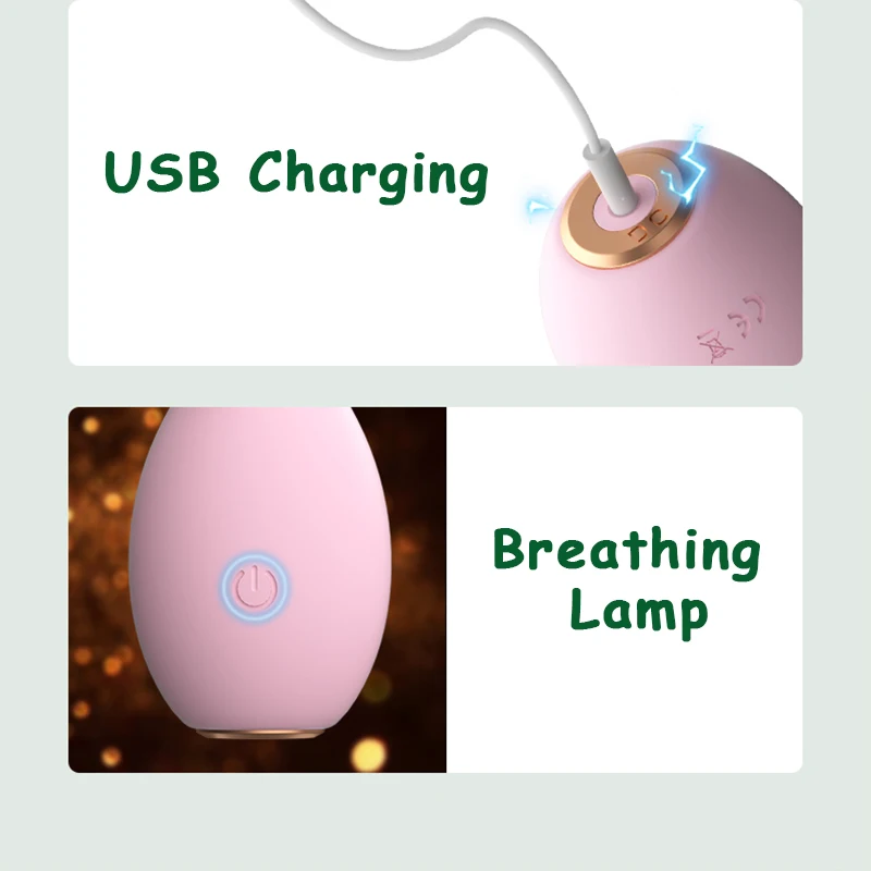 Animal-shaped vibrator with USB rechargeable lithium battery features highlighted