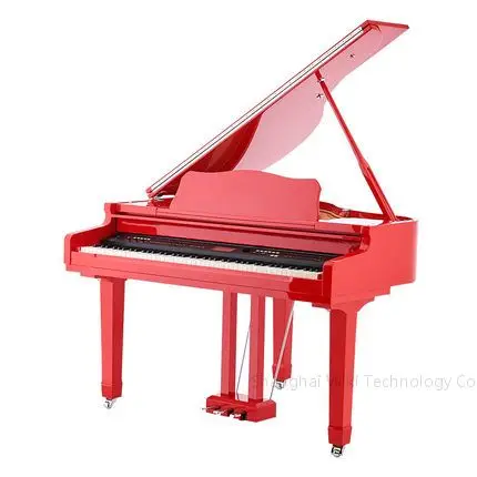 Piano Keyboard Digital