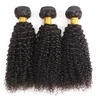 jerry curl