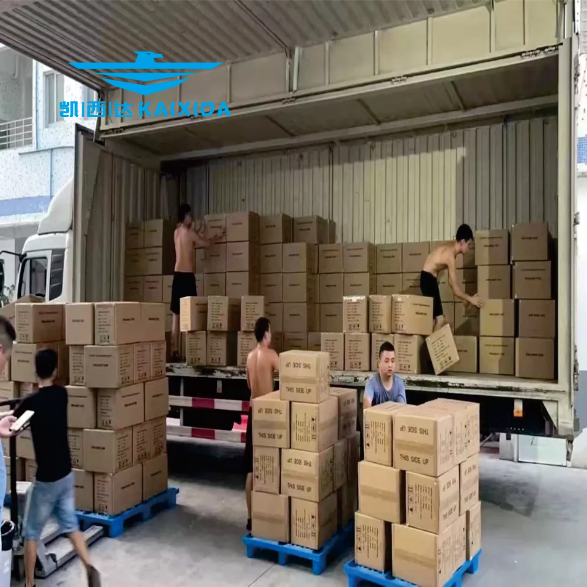 Representative Transporting Cheap Express Shipping Agent to the Netherlands Europe From China Safe Delivery