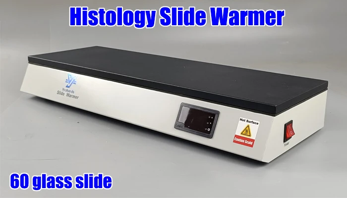 Laboratory Slide Warmer
