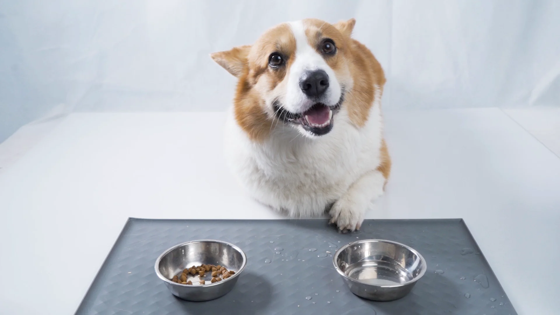 e spring premium quality silicone pet food mat for dog cat