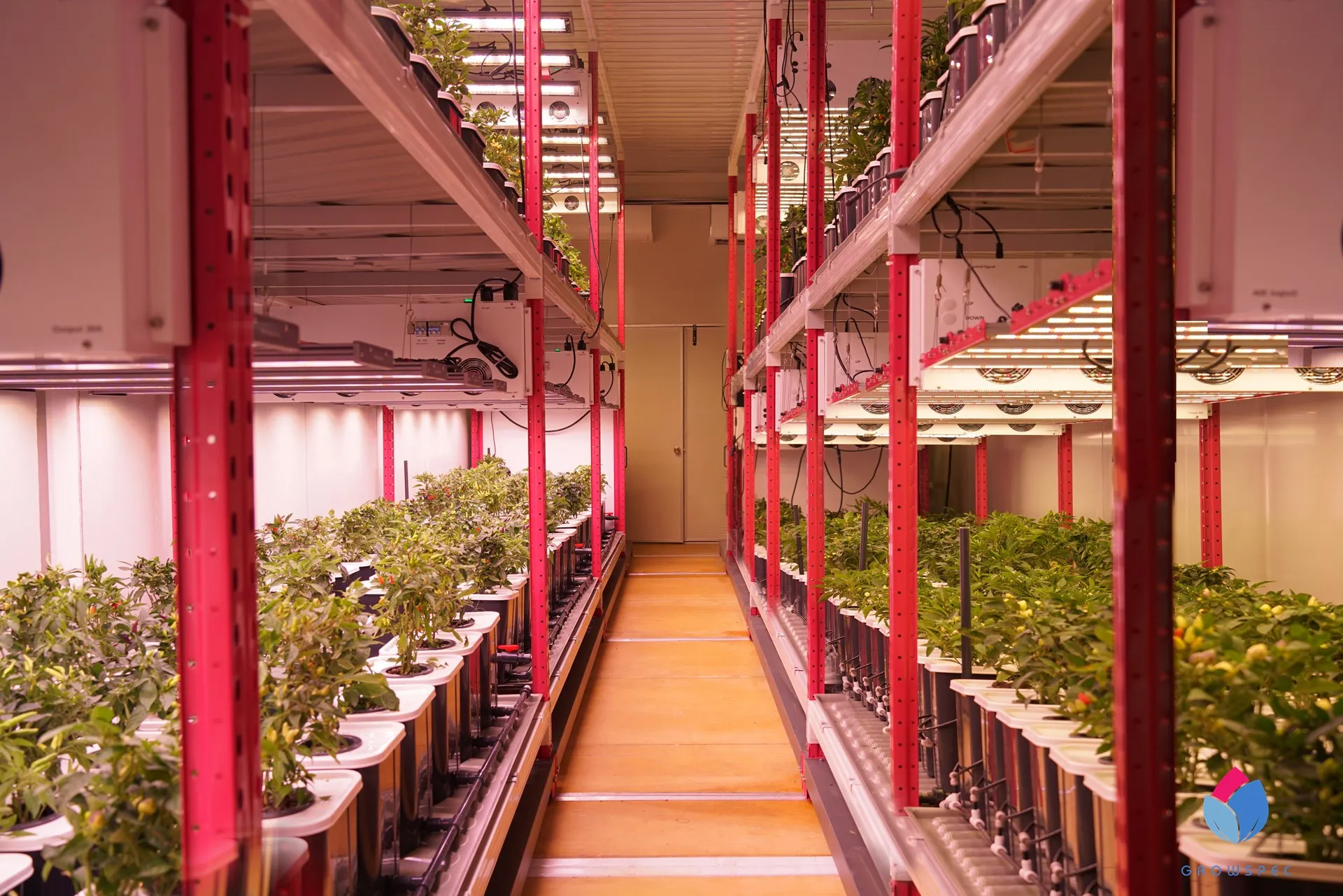 Planting System Indoor Container Farm System Planters for Indoor Plants Medical Plants Tomatoes Strawberry Vegetables Growing