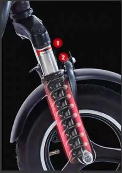 10 дюймов вакуумные шины 15AH батарея для семьи родители-дети трехколесный электрический велосипед 250w 48V скутер тремя