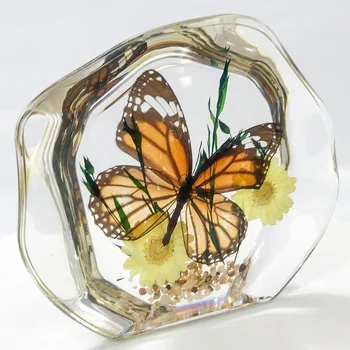 real butterfly crystal specimen embedded in clear resin for holiday decoration & gift business gift home Decoration souvenir
