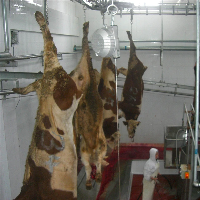 Cow automatic slaughterhouse with beef shop slaughterhouse meat processing machinery