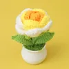 Gradient yellow roses potted plants