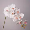 blanco 2