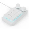 Aggiornamento bianco 12 tasti 2 manopole
