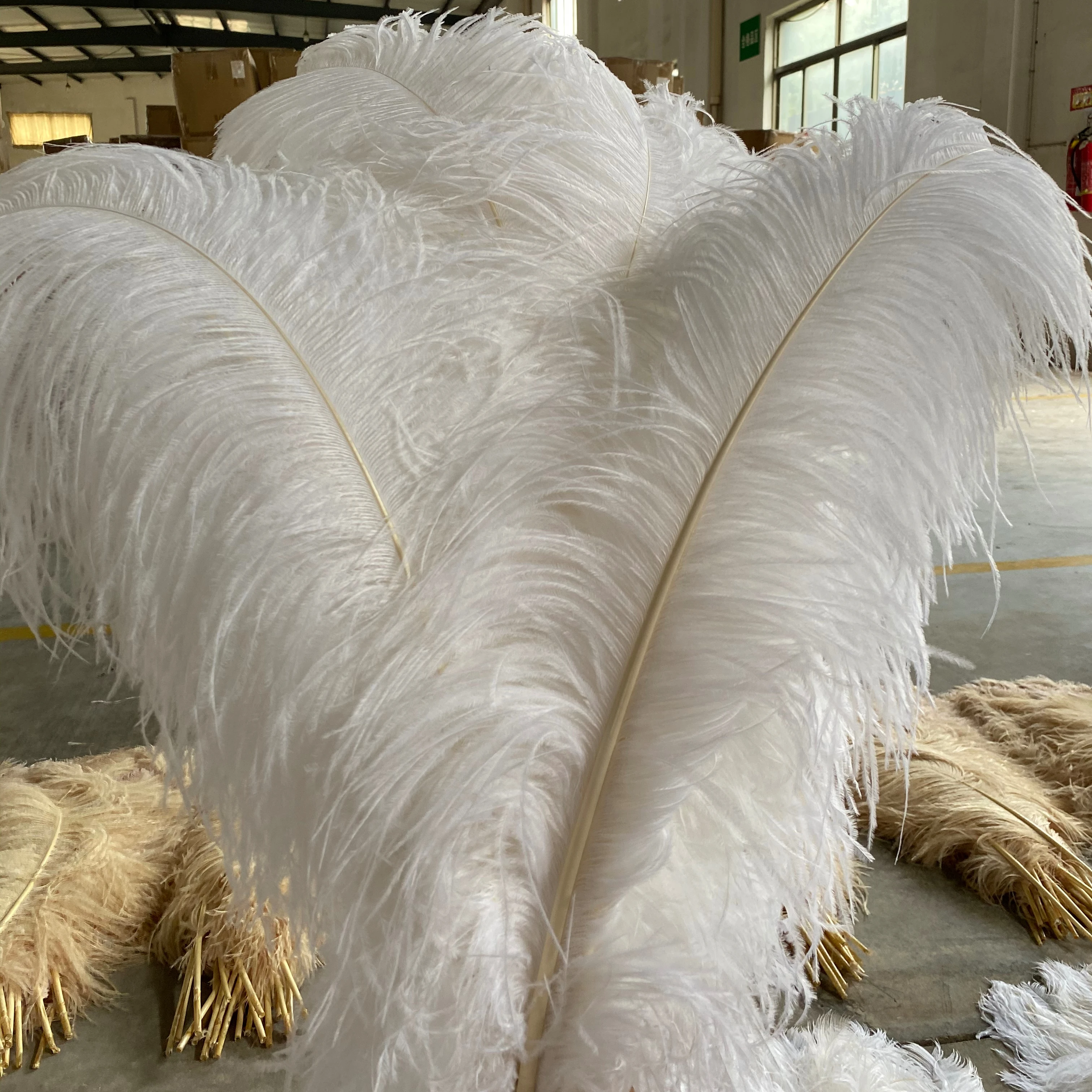 Большое белое перо страусиного дерева для