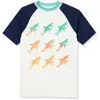 Beach Glass Sharks