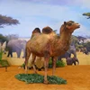 Animatronic Animal-Camel