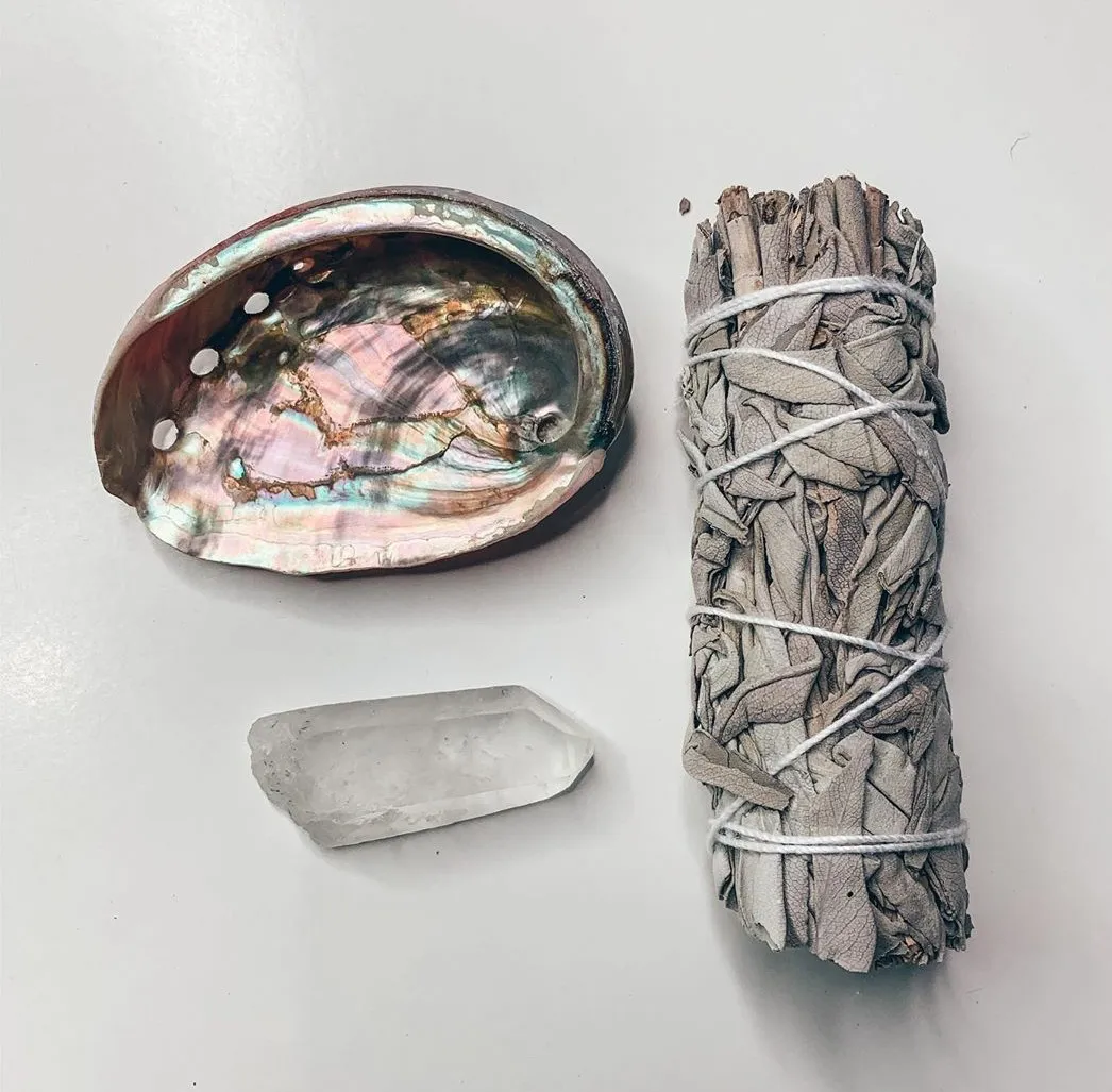 Hot Selling Natural Abalone Shell for Decoration - Blue, White New Zealand Abalone-Vietnam Natural Seashell +84 587 176 063