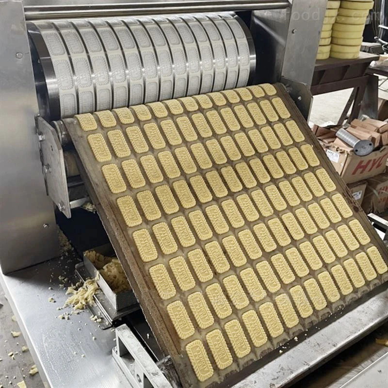 Small Biscuit Making Machine Price Machine De Fabrication De Biscuit Mini Taosu Cookie Forming Press Cutter From LOM