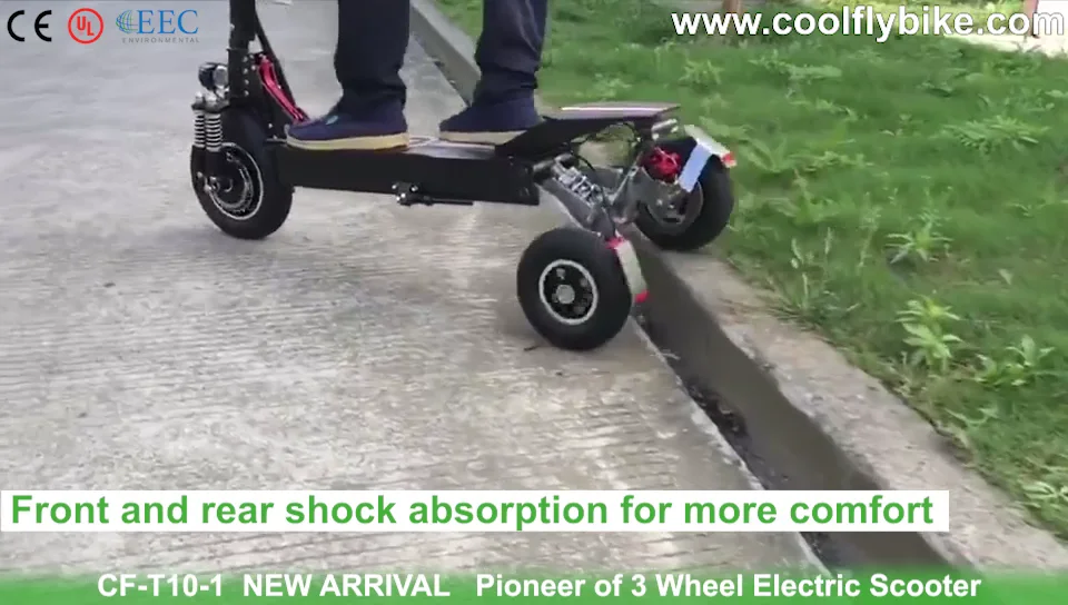 Best Easy Rider Electric Scooter 48v 800w 1000w Electric Stand Up