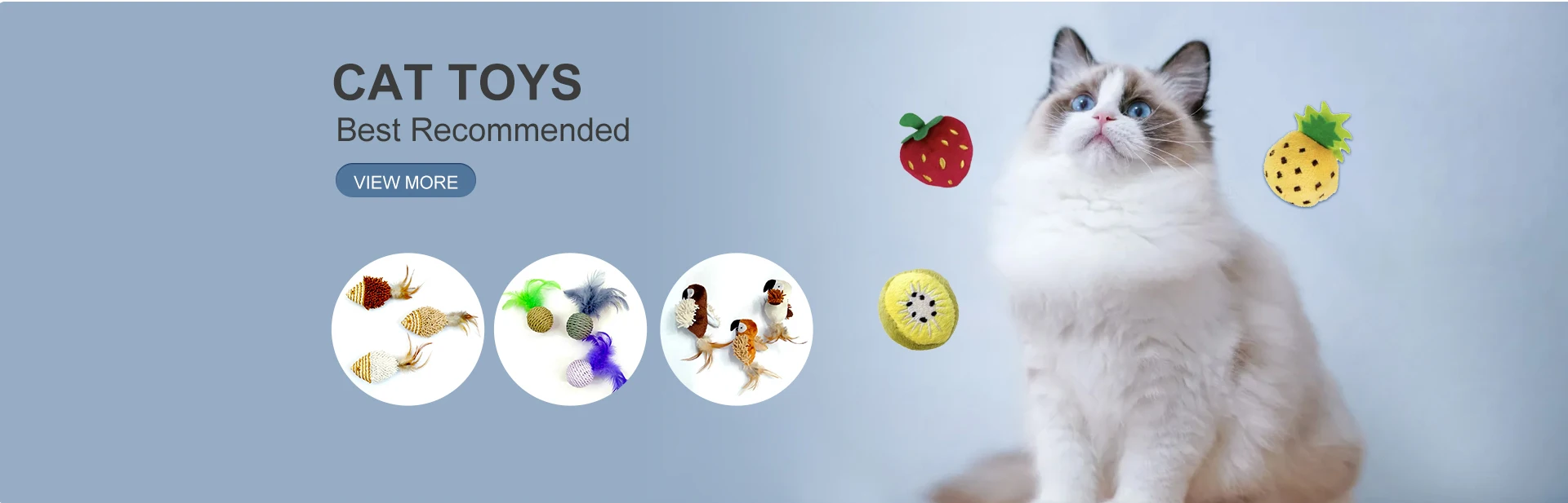 Company Overview Rugao Lanbiao Pet Products Co., Ltd.