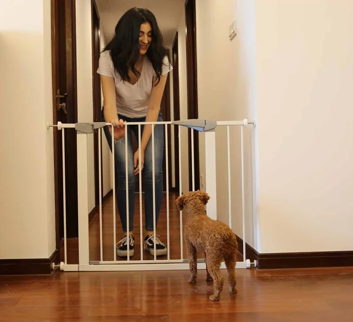 dog baby gate