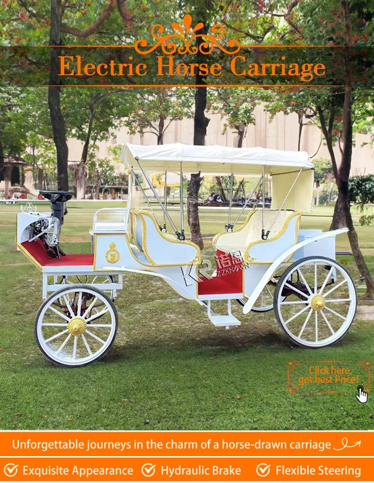 Oem Sightseeing Electric Buggy For Tourism Outdoor Horse Drawn Carriage ...