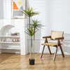 Grand dracaena-150 cm