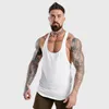 Y4350179+blanco