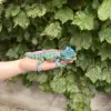 coloré