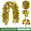 Autumn colors of peach leaves and vines on adhesive tape