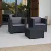 Negro