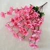 สีชมพู