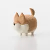 Tutoriel vidéo coloré pour chien brun et blanc