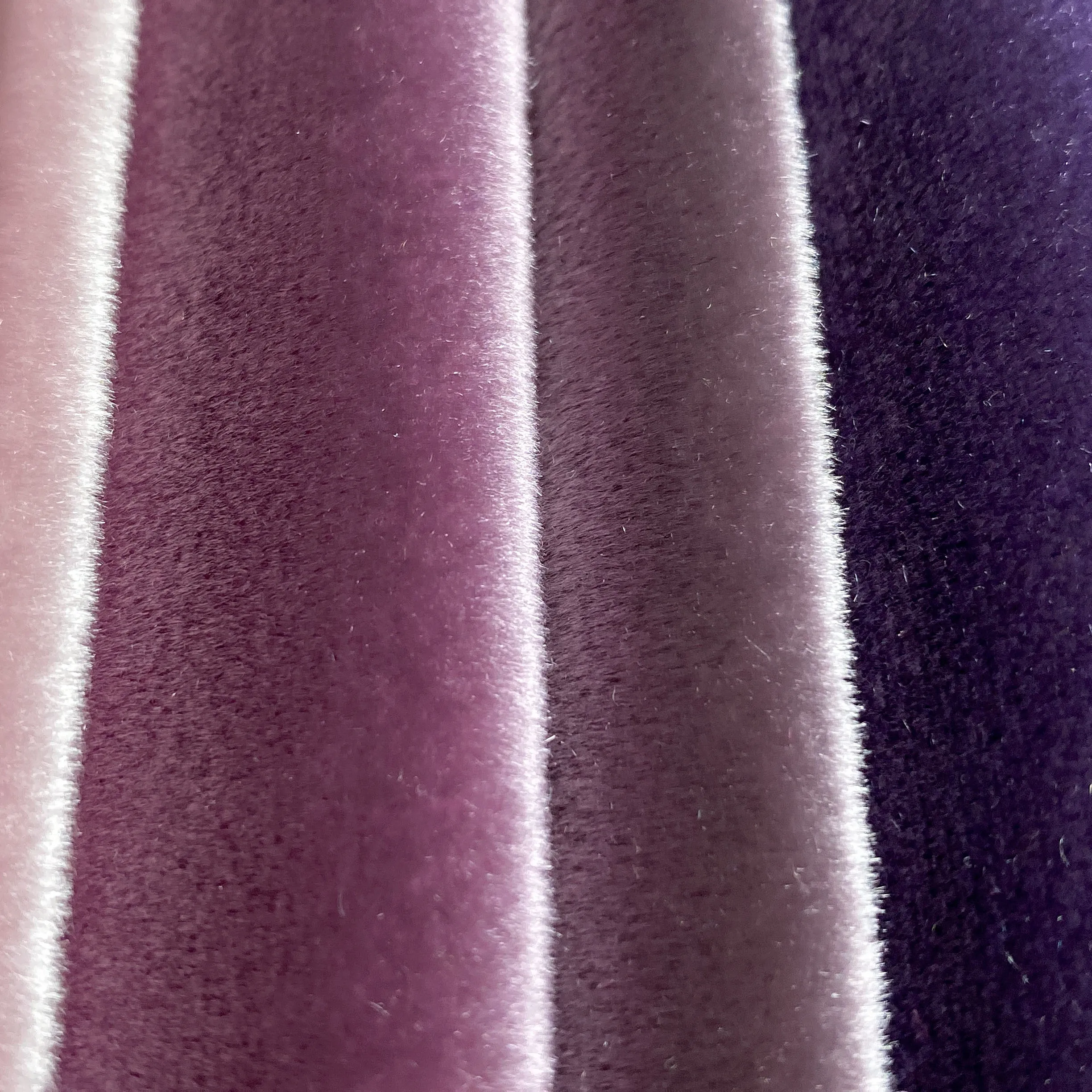 Velvet Fabric: Fabrics from Italy by Pontoglio, SKU 00071646 at $97 — Buy  Luxury Fabrics Online