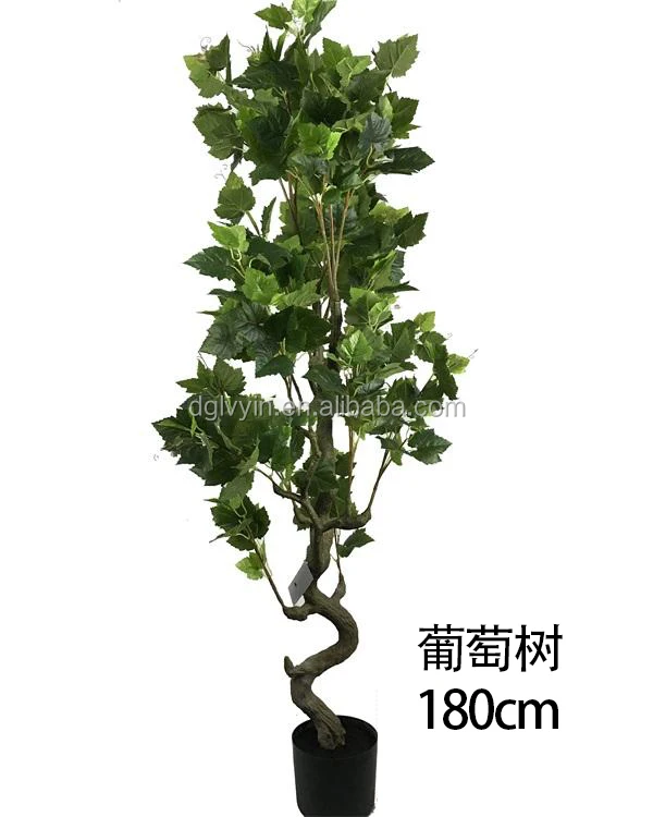 人工ブドウ木盆栽フルーツ木鉢植え植物屋内 屋外装飾用 Buy 家の装飾人工ブドウの木盆栽果物ツリー鉢植え 環境にやさしい Peva 1 05 メートル家の装飾人工盆栽ブドウの木 工場卸売装飾人工つるブドウの木の葉人工つる人工ツリーの葉 Product On Alibaba Com