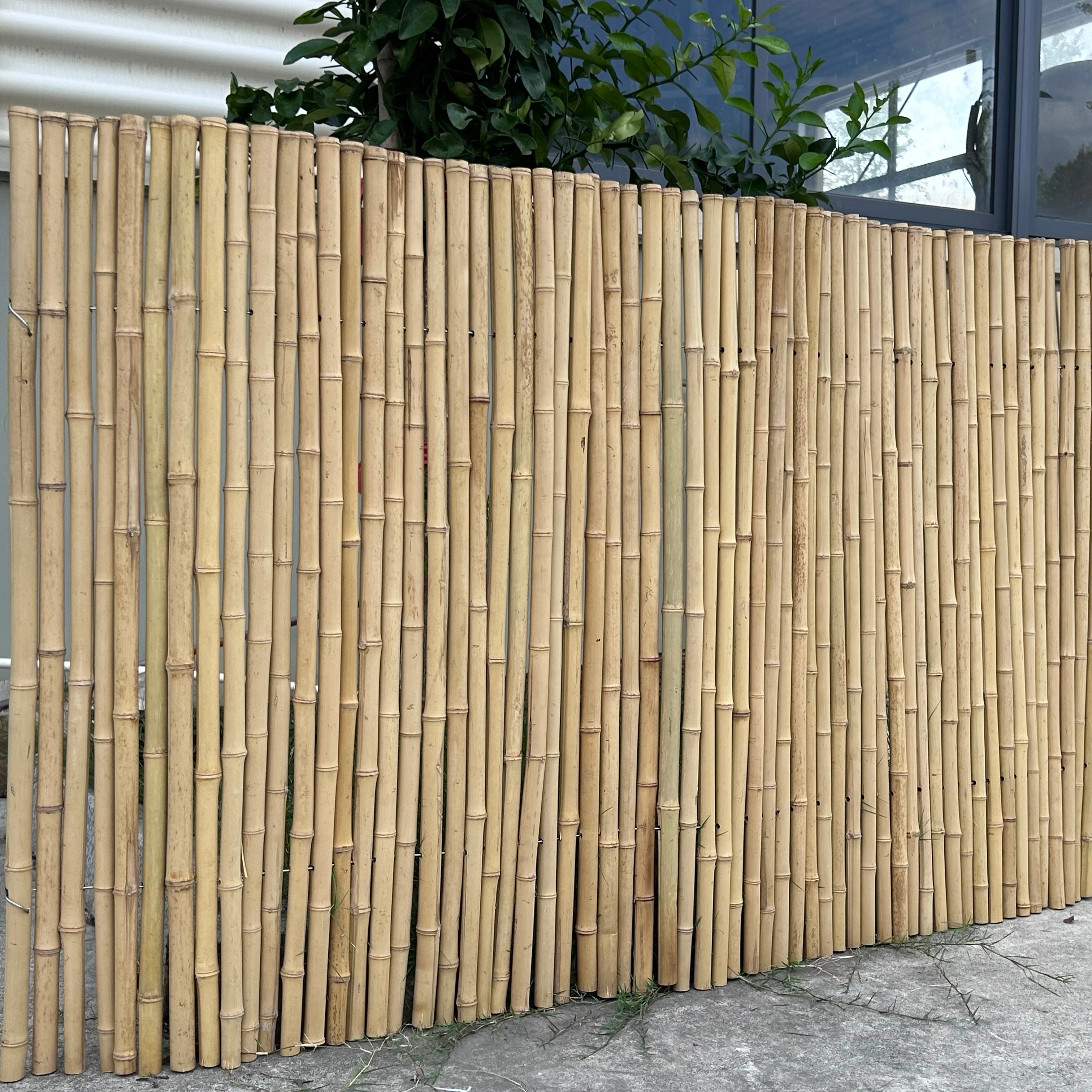 Garten-Sichtschutz Gnstiger Natrlicher Bambus-Zaun-Rolle  Bambus-Zaunpaneele